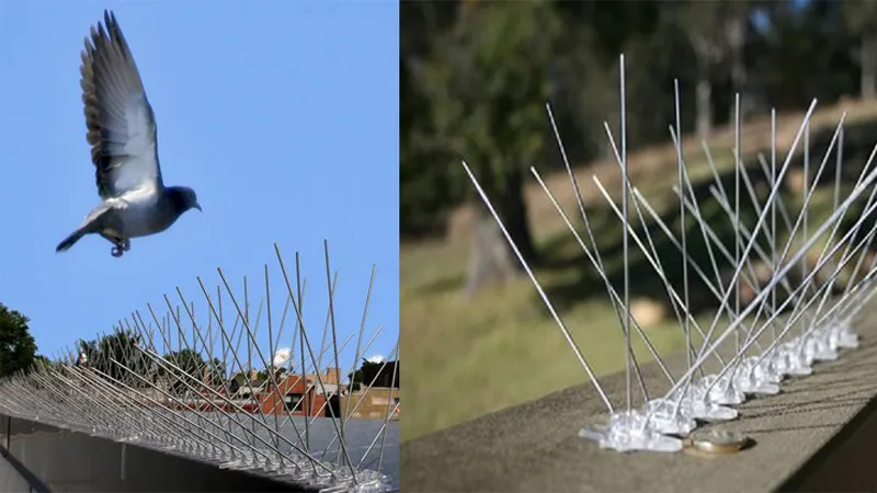 Plastic Anti Bird Spikes
